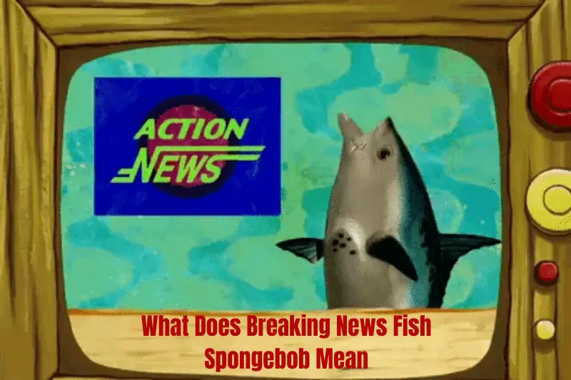 what does breaking news fish spongebob mean