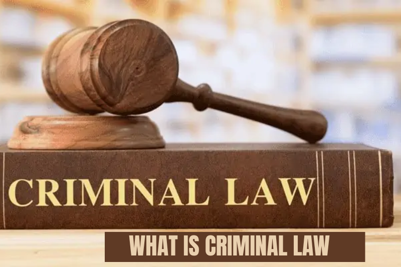 what is criminal law