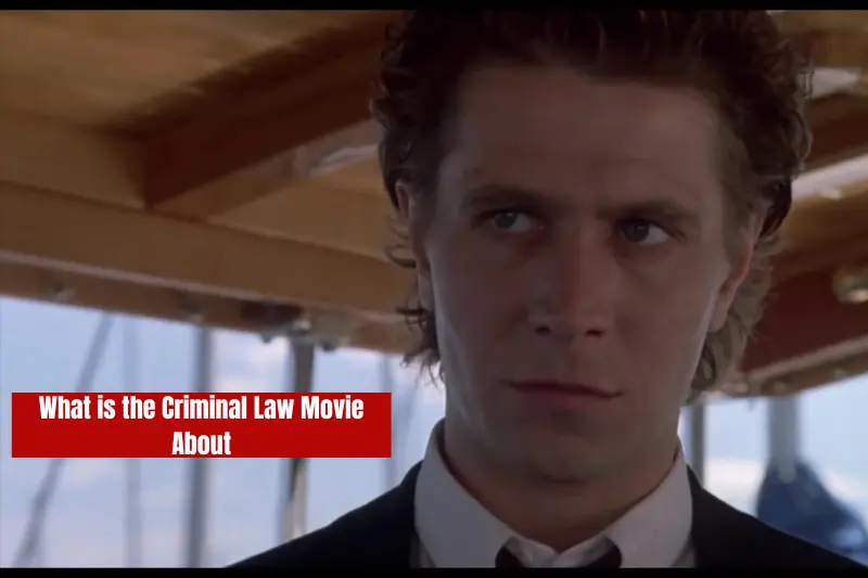 what is the criminal law movie about